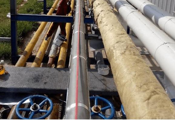 16643309161336.jpg 電伴熱帶.jpg